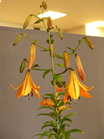 Foto: Dr. Peter Müller